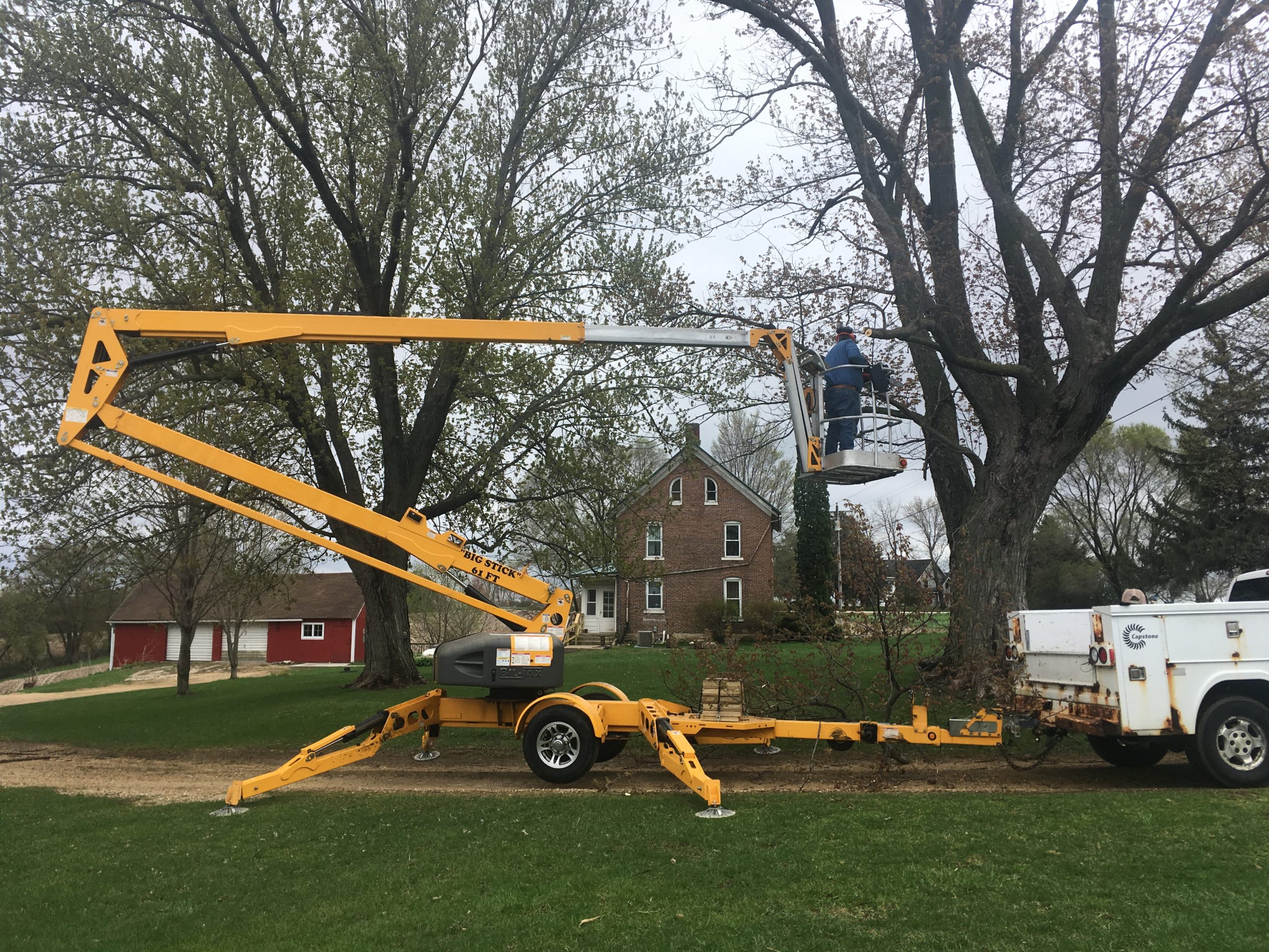 Iowa, MA Acton removal tree dubuque
